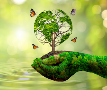 Waste Reduction 11/2023