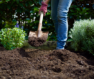 Shovel in the ground