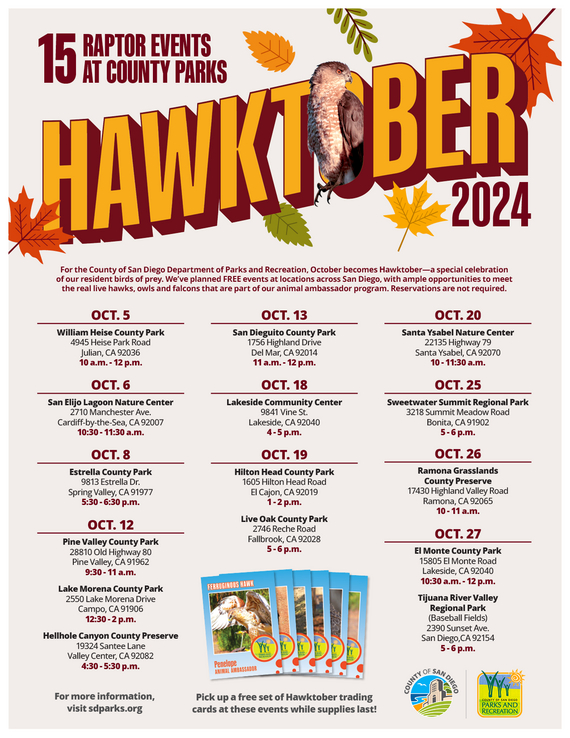 Hawktober Flyer