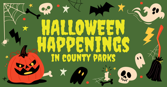 Halloween Happenings