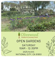 Olivewood Open Garden