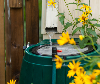 Rain barrel