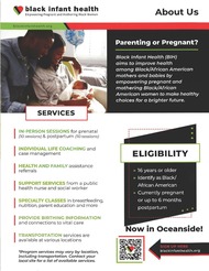 BIHStateFlyer2024.pdf.pdf_Page_1