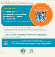 cap assessment 