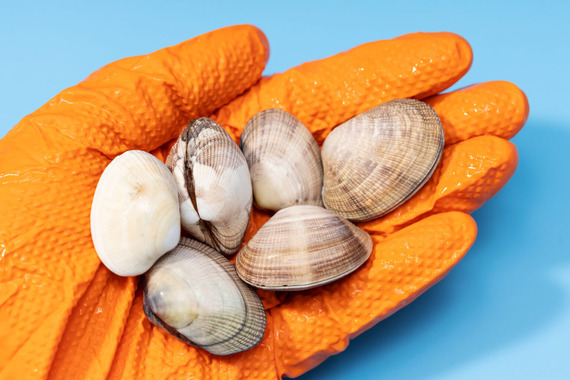 ​County is Warning the Public Not to Eat Locally Harvested Shellfish