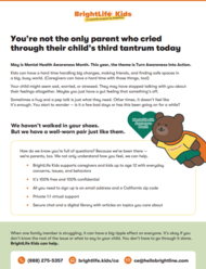 Bright Life Kids MH Resources Flyer