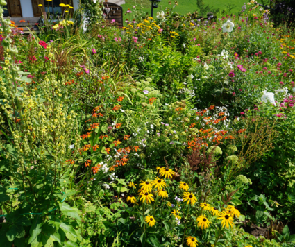 Landscape and Garden Events