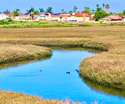 2025 10 - Pollution Prevention