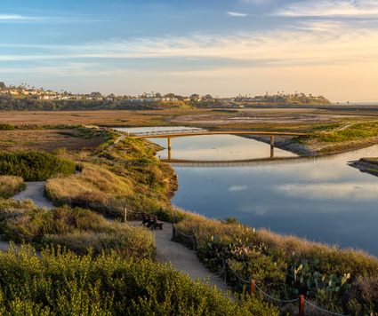 11-25_poll prev_san eligo lagoon