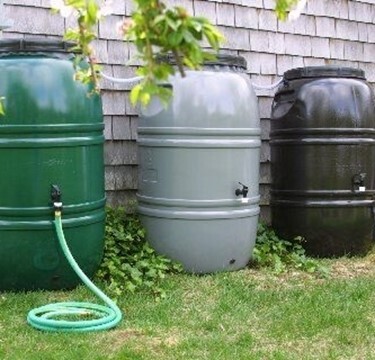 Rain Barrels