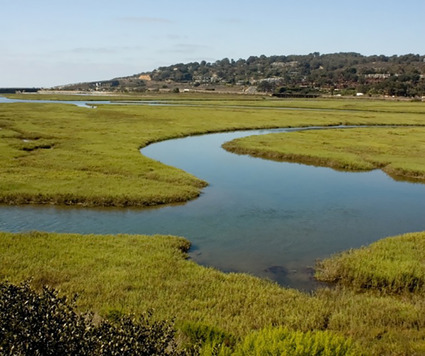 2025 December Events_Pollution Prevention_happy holidays beach_revised crop