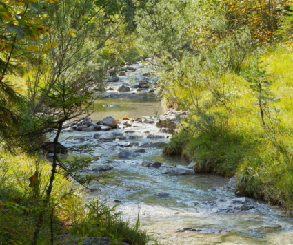 2026 01 Stormwater Pollution Prevention