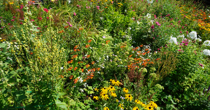 2026 May Events Garden