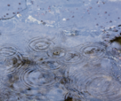 Rain Puddle