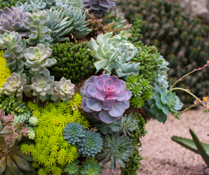 Landscape & Garden Events