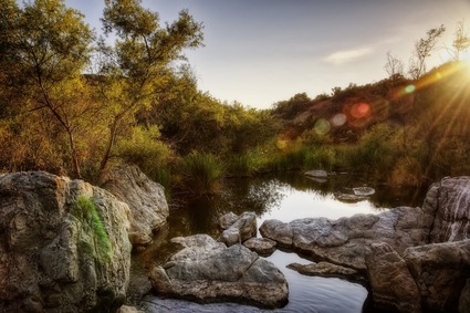 Stormwater Pollution Prevention & Education Events
