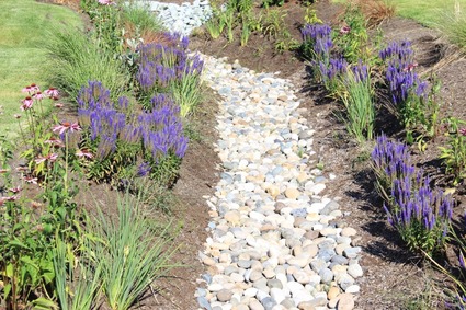 Rock Swale