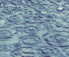 Rain Drops