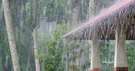Heavy Rain on a Roof