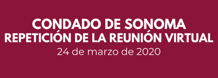 Repeticion de la Reunion Virtual 