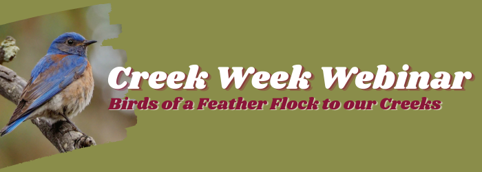 Creek Week Webinar 