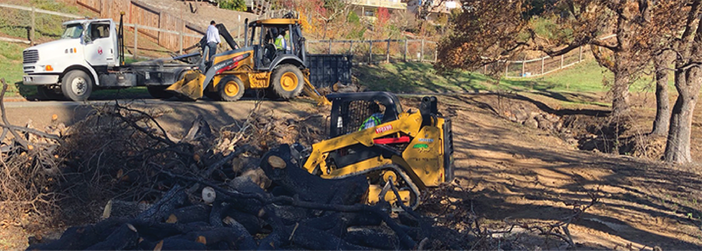 Removing Skyhawk Trees