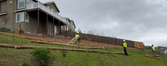 Skyhawk Open Space Repairs