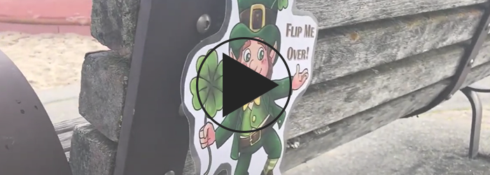 Leprechaun Hunt