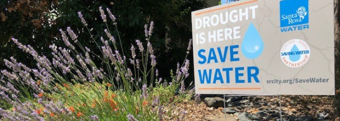 Flowers with Drought is Here Save Water Sign