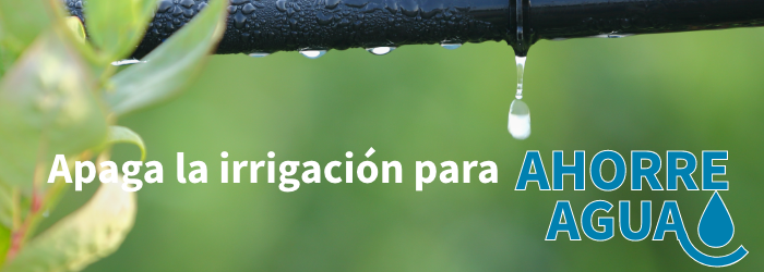 Turn Off Irrigation_SPA