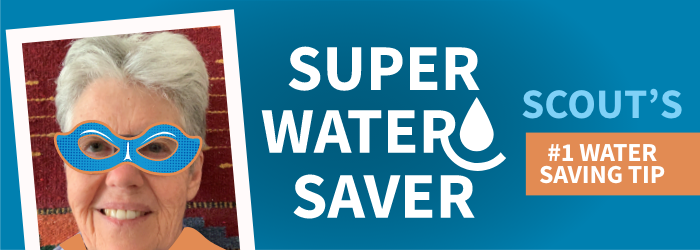 Super Water Saver Scout_ENG