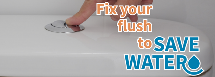 Fix Your Flush_English