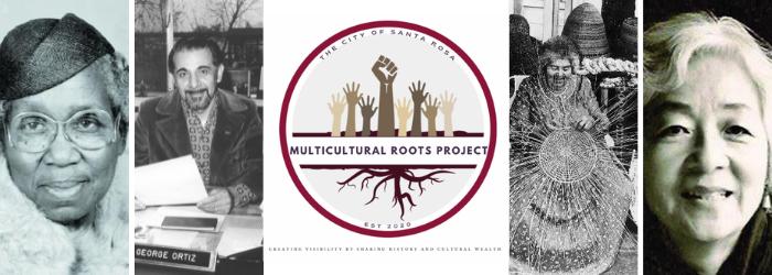 Multicultural Roots Project Survey