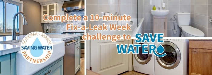 10 Min Fix a Leak Challenge_ENG