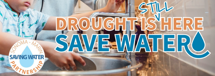 Water Awareness Month_English