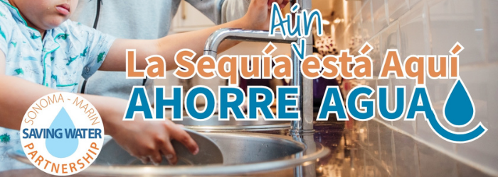 Water Awareness Month_Spanish
