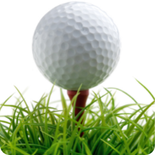 Golf Ball_225x225
