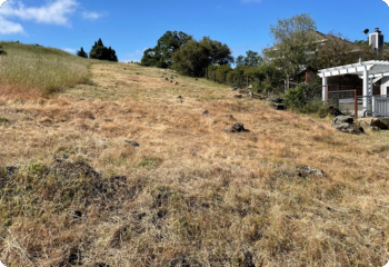 Wildfire Ready_Maintaining Weeds and Dry Grasses During Wildfire Season_350x240