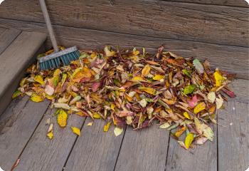 Leaves on Deck_350x240