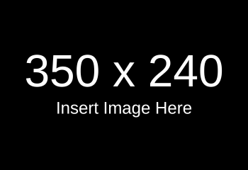 CC_Insert Image Here_350x240