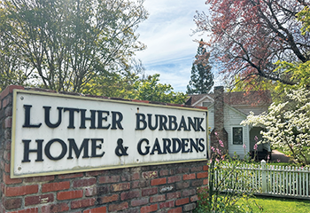 Luther Burbank Home and Gardens_350x240