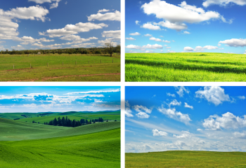 Vista Ranch Property_350x240