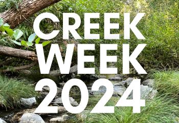 Creek Week 2024_ENG_350x240