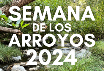 Creek Week 2024_SPA_350x240