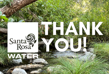 Creek Week Thank You_ENG_350x240