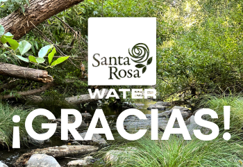 Creek Week Thank You_SPA_350x240