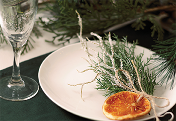 Zero Waste Entertaining_350x240