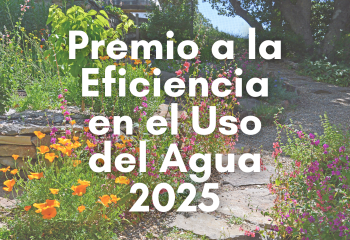 WUE Awards SPANISH_350x240