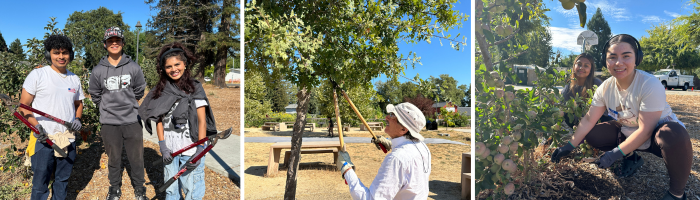 Park-A-Month_700x200