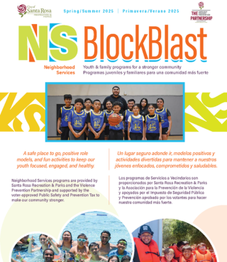 SpringSummer 2025 NS Block Blast_320x370